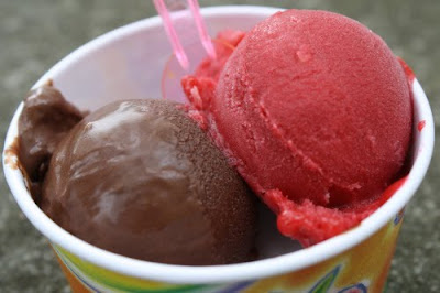 Chocolate Ice Cream and Raspberry-Rose Sorbet from Berthillon