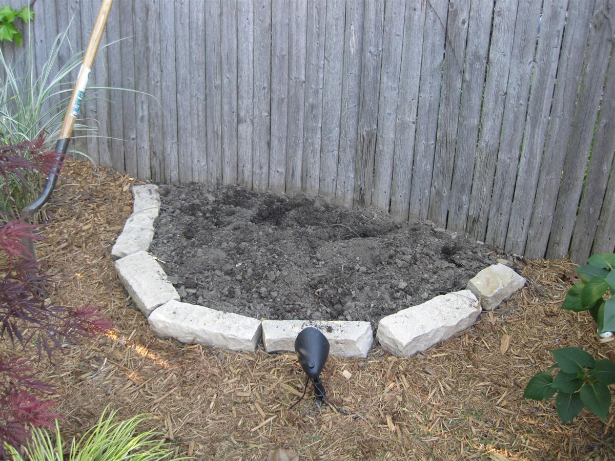 Plant Inventory At 20 Timothy Salix Integra Dappled Willow