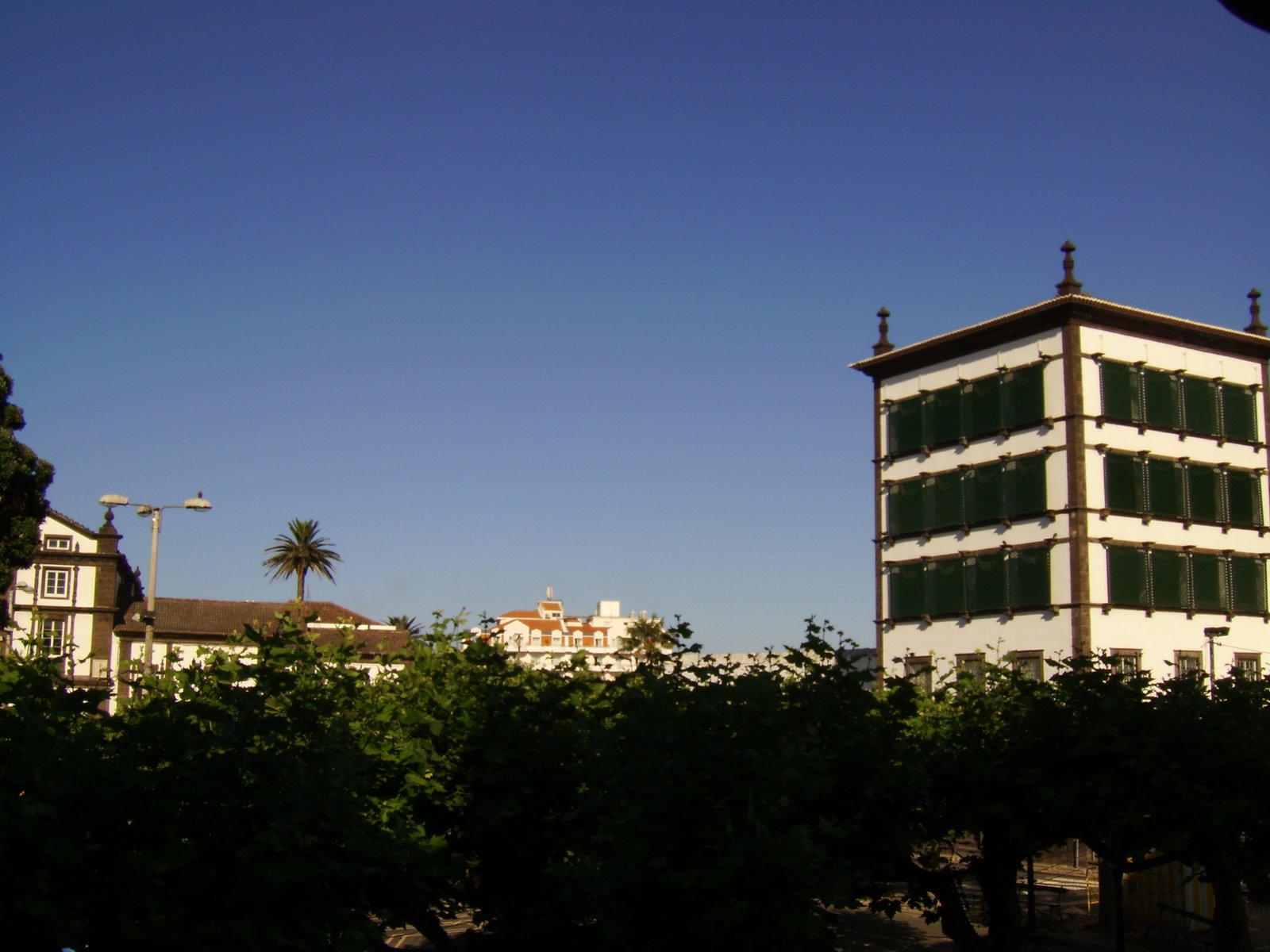 [DSCI0298.JPG]