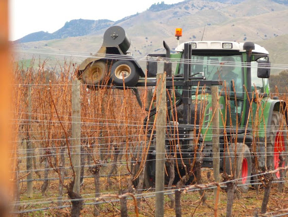 Les presento a Striptiron el transformer que hace stripping en Nueva Zelanda