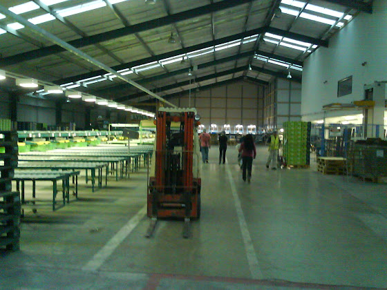 Así se ven de lejos la máquinas del packhouse donde se van los kiwis