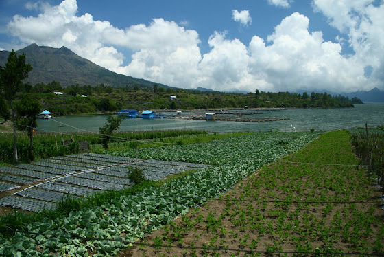 Lovina en Bali, Indonesia