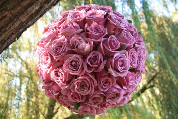 [roseball.jpg]