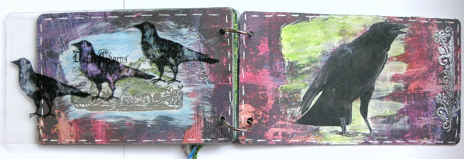[Bird+book+8.JPG]