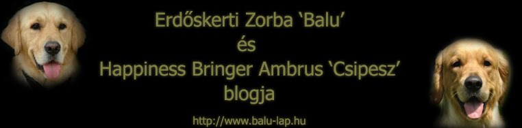 Erdőskerti Zorba  és Happines Bringer Ambrus