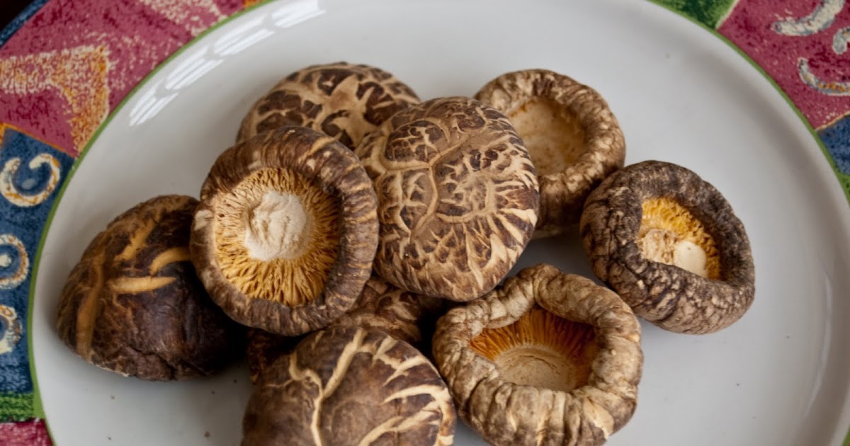 Life's Little Tangents: Dried Chinese Mushrooms