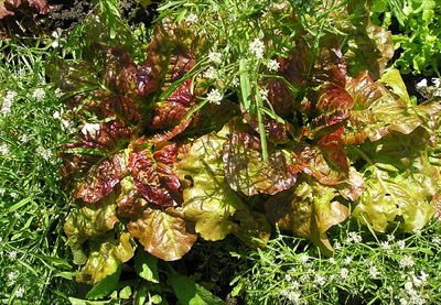 [652997722_189d637539.jpg]