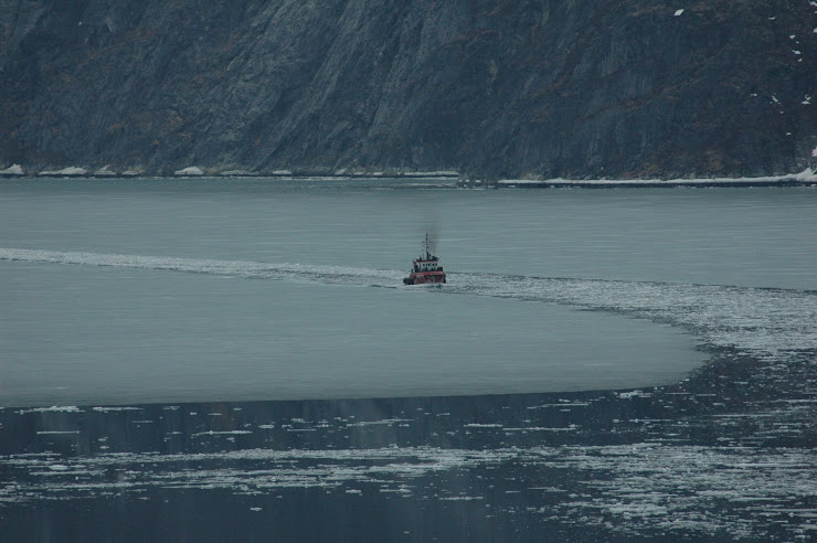 Første skip inn fjorden etter åpninga