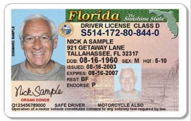 free florida drivers license check
