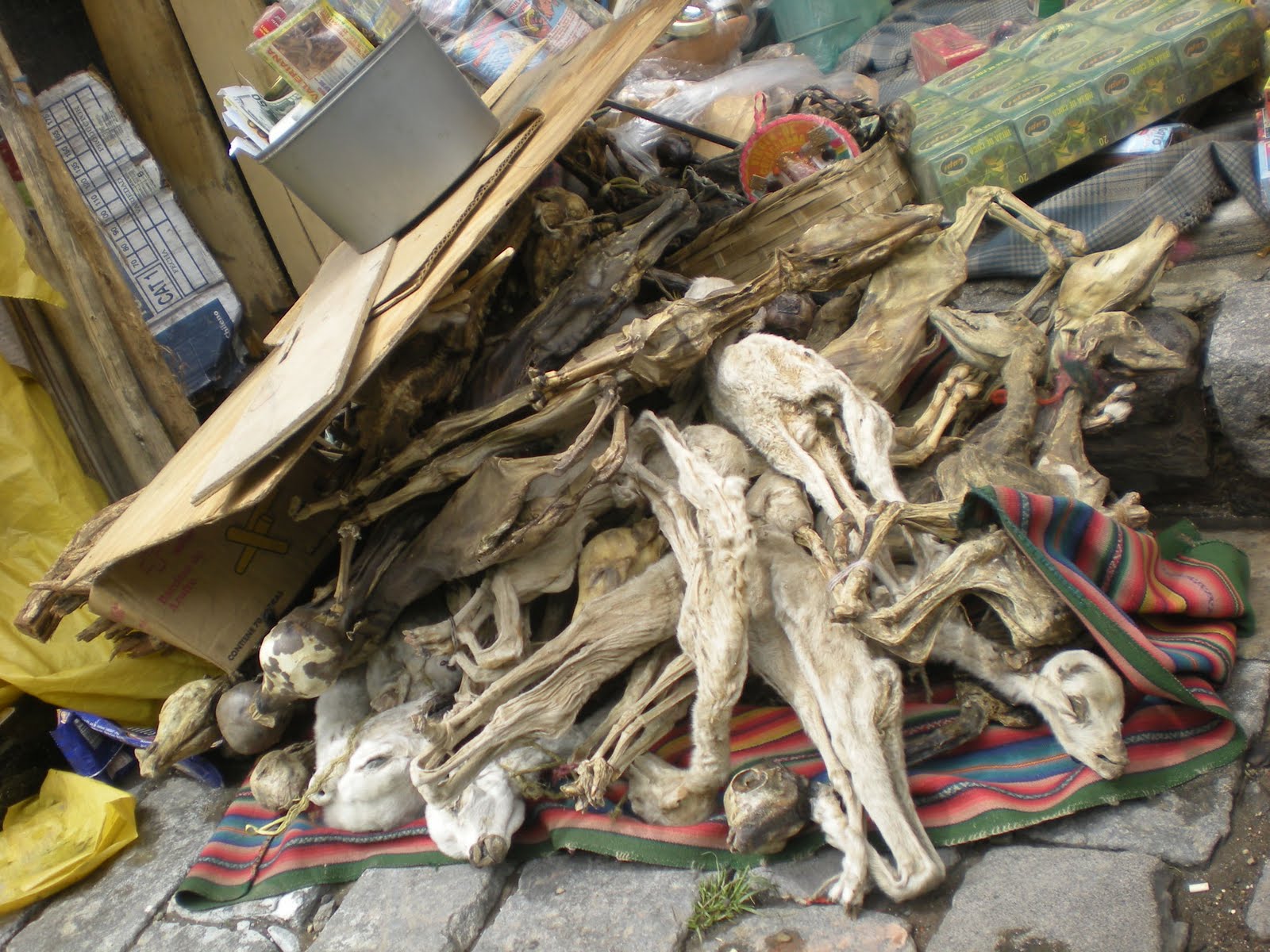 [DSCN7830.JPG]