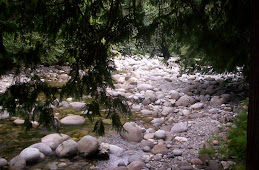 Emory Creek