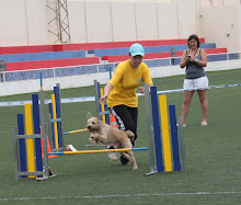 3er OPEN AGILITY LOS SILOS 2010