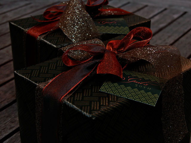 [shifman-gift-DSCN0167.jpg]