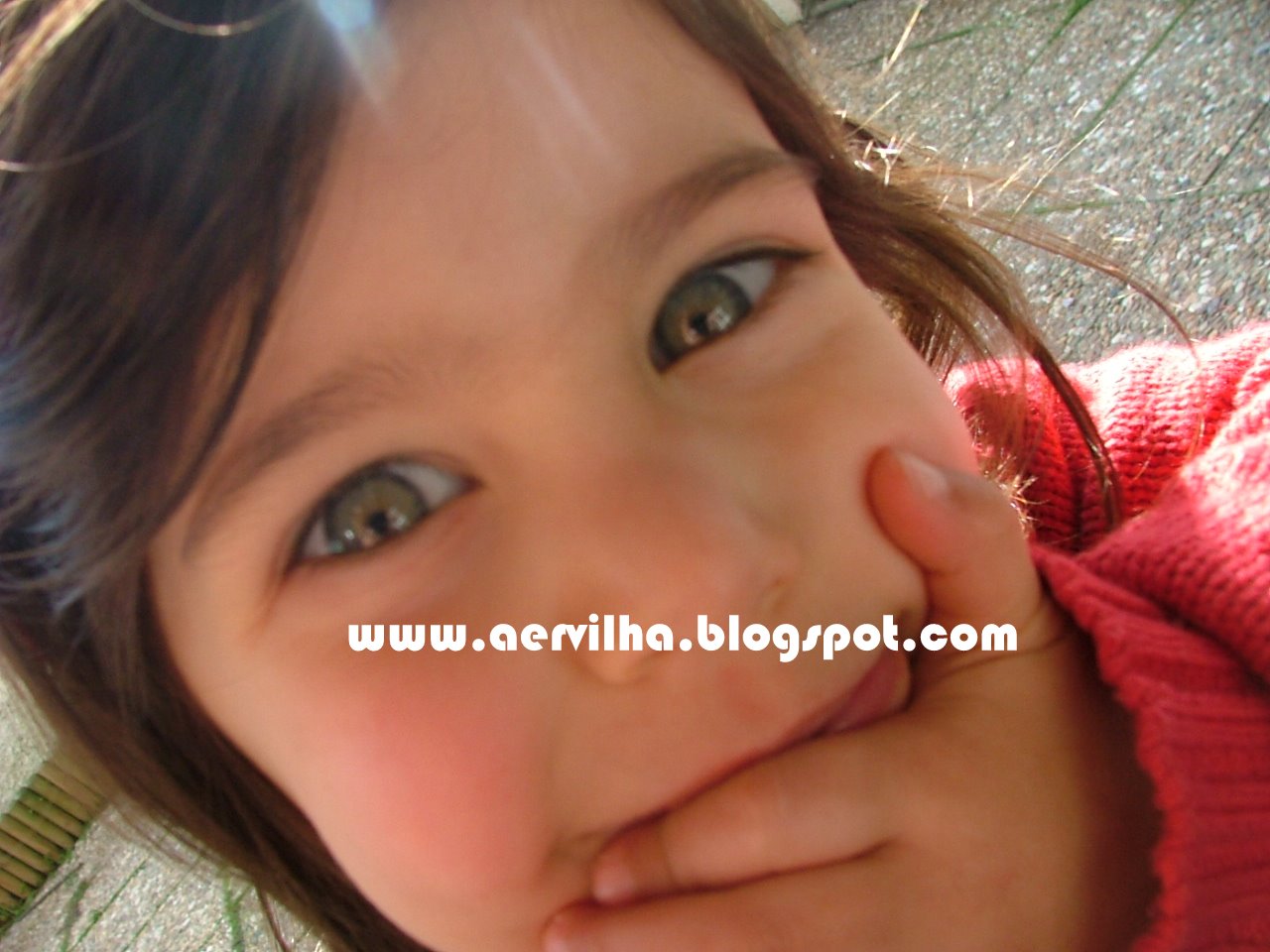 [DSCF1087.JPG]