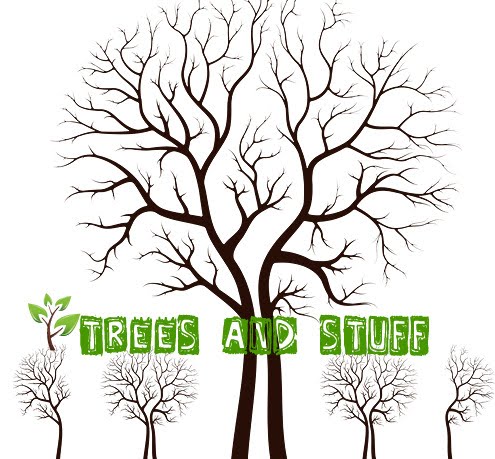 Trees 'n Stuff