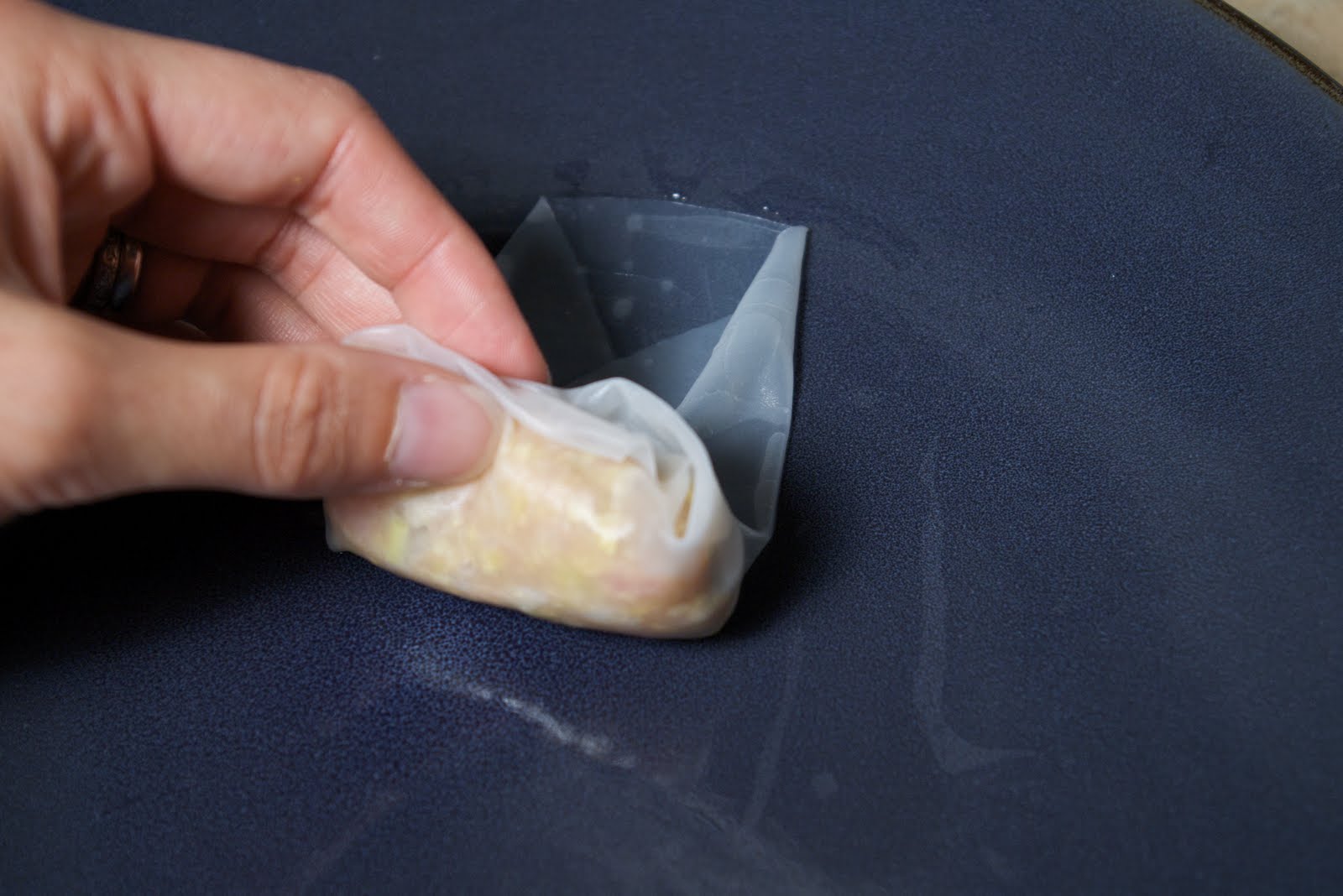 FoodWise Nutrition GlutenFree Gyoza (Potstickers)