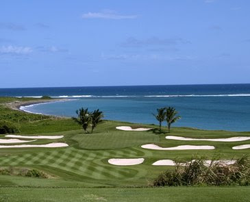 seashore paspalum hawaii seashore paspalum hawaii