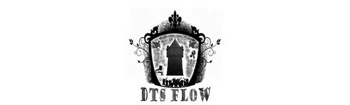 DTS FLOW