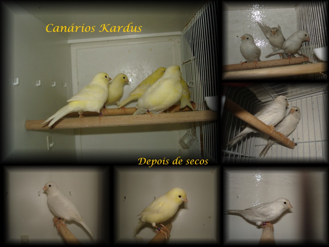 [Depois+do+banho.jpg]