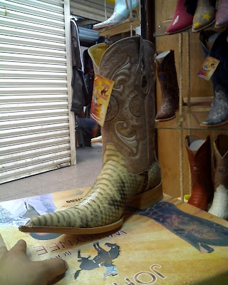botas chihuahua
