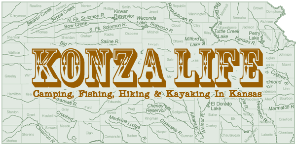 Konza Life
