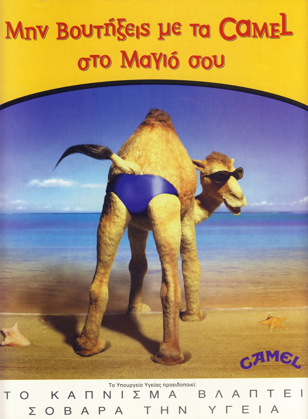[Cartoon+Camel+24+(Bathing+suit).jpg]
