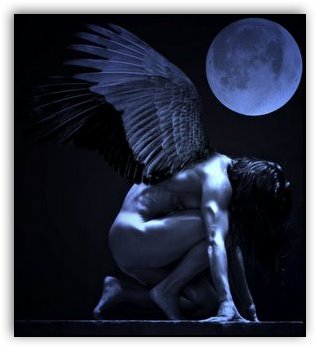 [anjo.jpg]