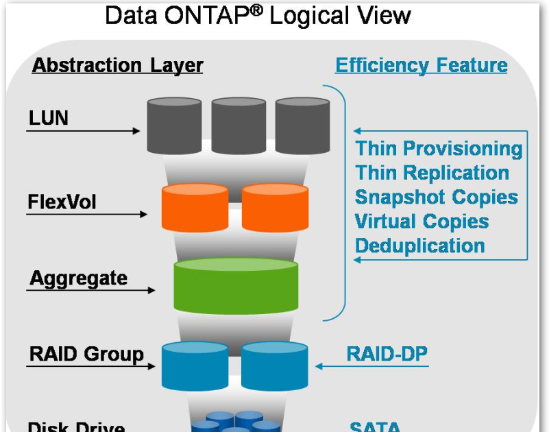 SAN NAS Analyst DataONTAP Logical View LUNs, Deduplication, and Thin