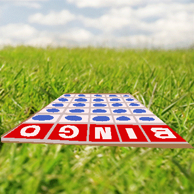 [bingo+blog.gif]