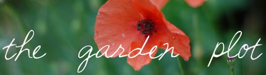 The Garden Plot