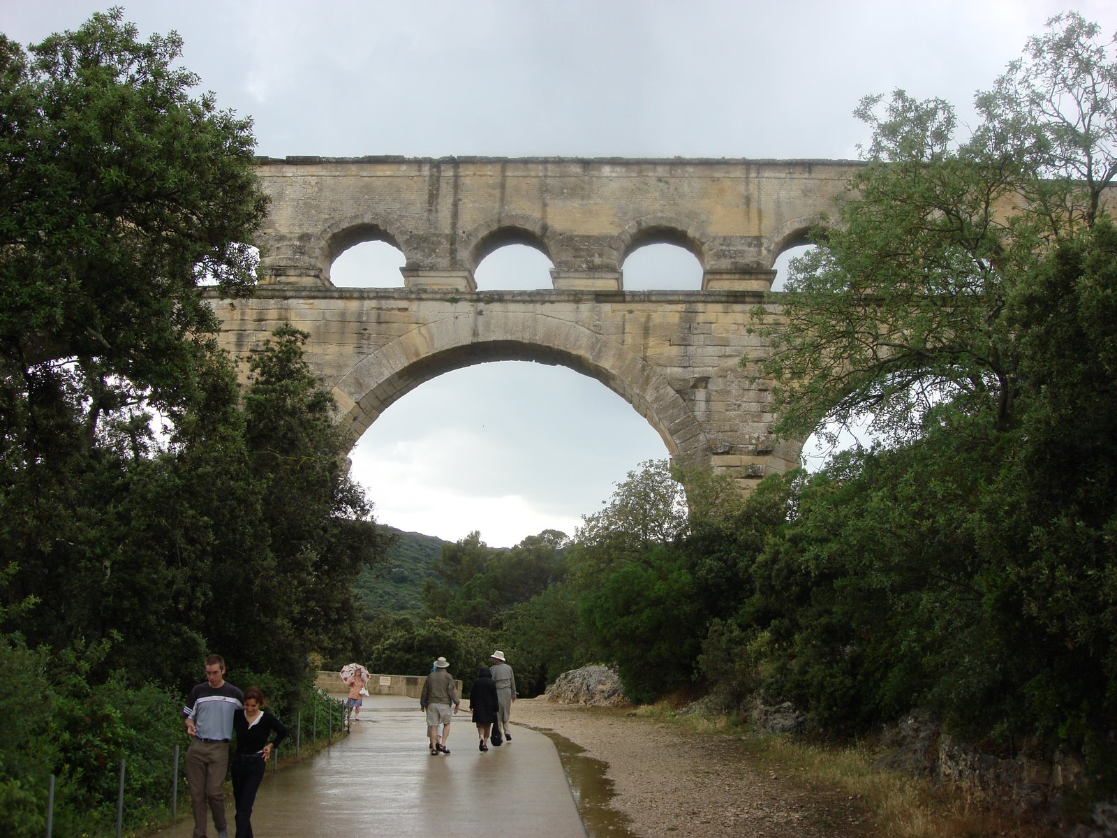 [DSC08267.JPG]
