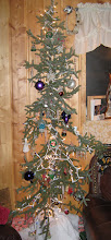 Our Alaska Christmas Tree....