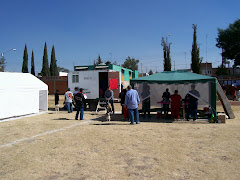 Jornada de Esterilizacion de Mascotas