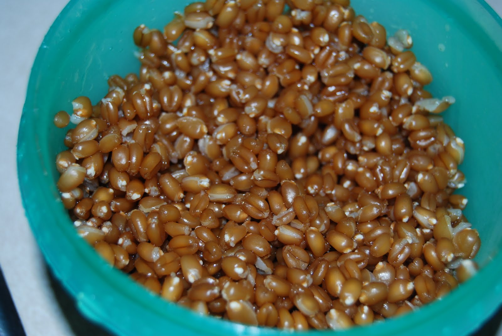 Suzie's Sweet Wheat What Are Wheat Berries, and How Do I Make Them?