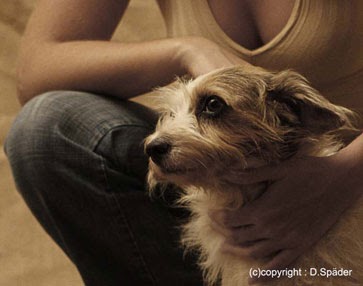 corde jouet chien pas cher