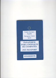 pasaportes identificación chip