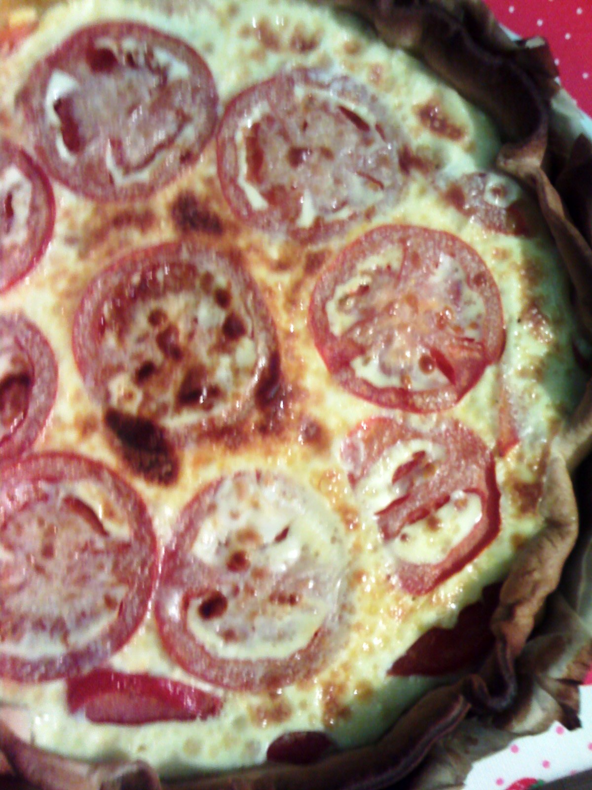 [2009-03-17_2027.jpg]