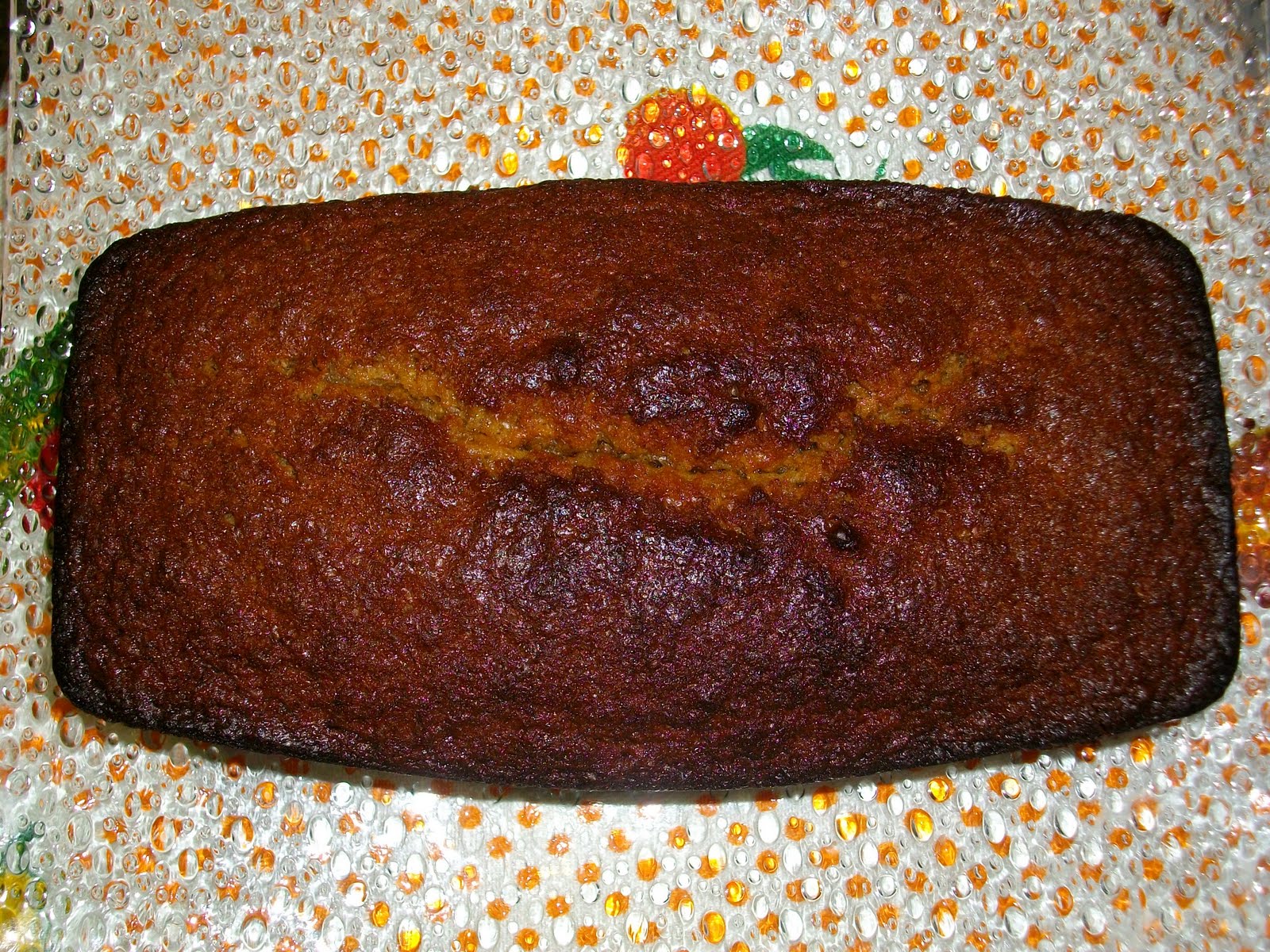 [IMGP0483.JPG]