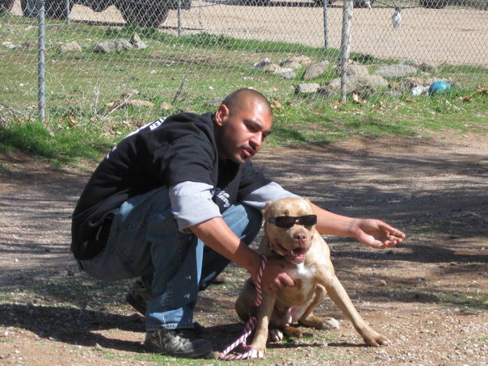 Photos from Animal 'Pit Bulls and Parolees' second season This Dish Is Veg Vegan
