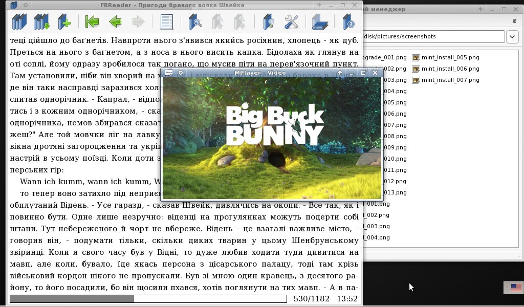 [mint_desktop_001.jpg]