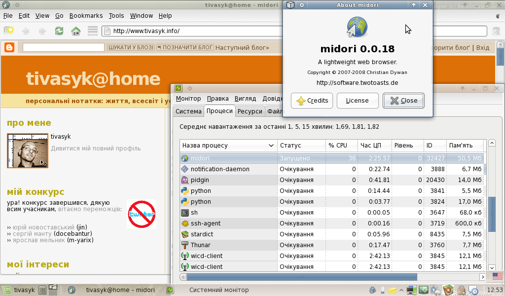 [linux_midori_(webkit).png]