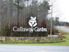 Callaway Gardens in Georgia