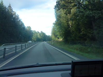 nätdejting ung yong