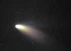 The Hale-Bopp Comet