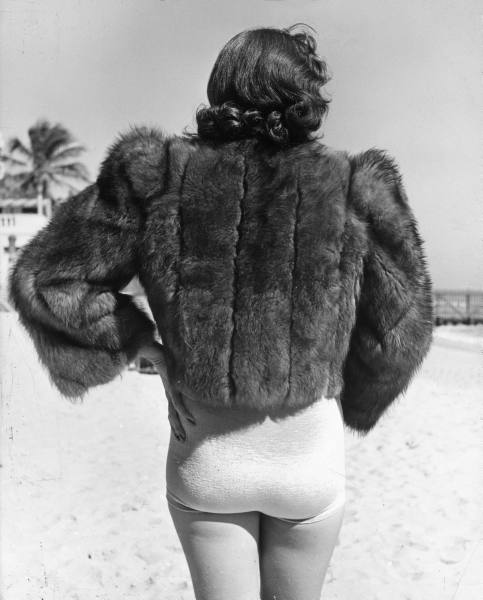 [lg_7287341_Miami_Miami_Beach_Winter_Boo.jpg]