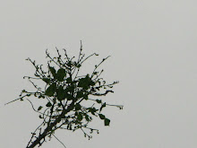 Skeleton Flower