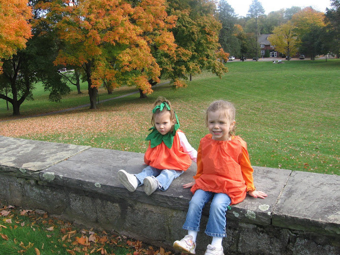 our little pumpkins
