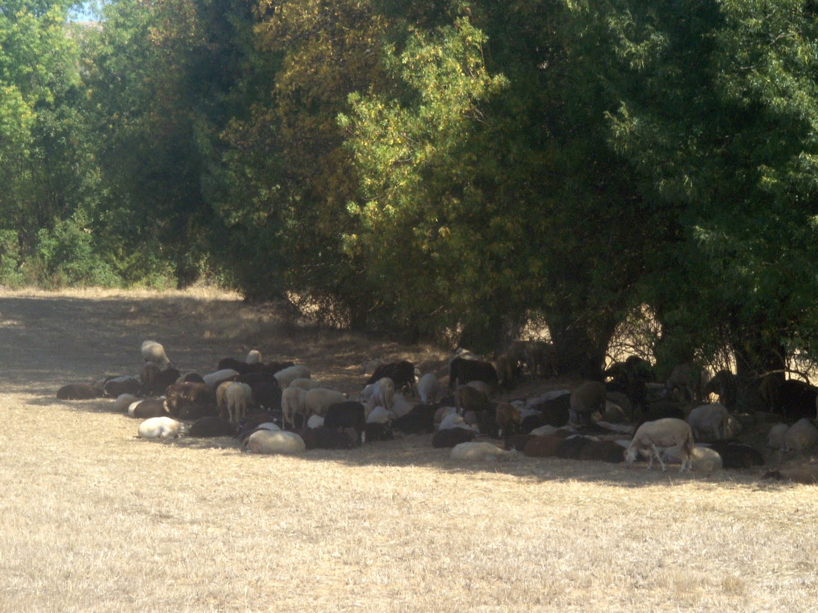[HPIM8346.JPG]