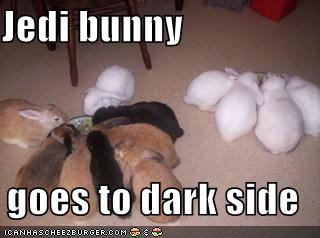 http://1.bp.blogspot.com/_wKLtUH_WJAo/TQ4kPn5fzlI/AAAAAAAAAsA/K_Yg30rw-7g/s1600/funny-pictures-jedi-bunny-dark-side-eating.jpg
