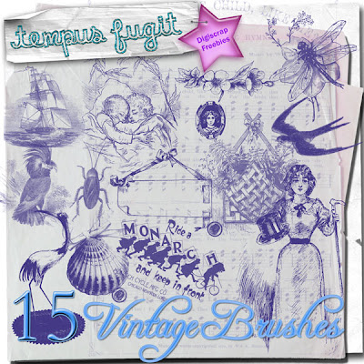 Creative Busy Bee Digital Scrapbooking Specialized Search Engine